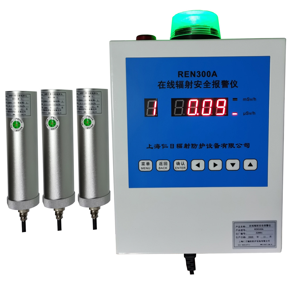 REN300A �̶�ʽ���䱨����